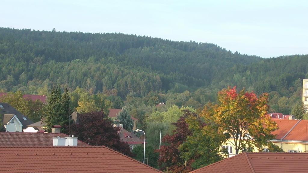 Apartments Meixner Mariánské Lázně Eksteriør billede